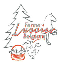 Lussier Belgians